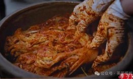 内行人爆料韩国泡菜视频,内行人带你走进传统发酵美食的世界